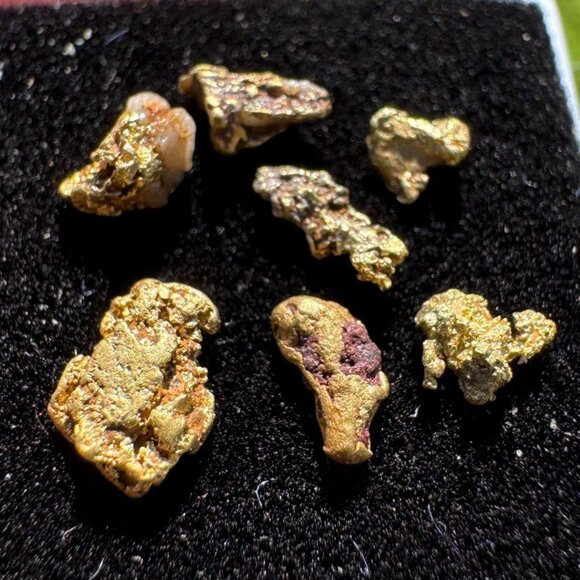 Arizona Gold Nuggets in Display Case - 0.62 grams - Picture 2 of 6